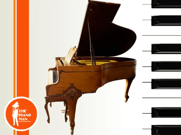 Bernard Steiner Grand B1002