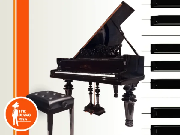 R. Lipp & Sohn Grand (Antique)